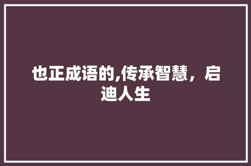 也正成语的,传承智慧，启迪人生