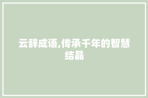 云辞成语,传承千年的智慧结晶