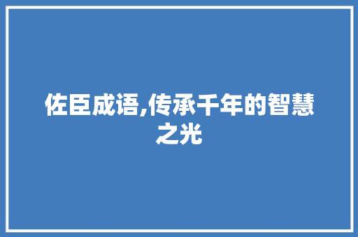 佐臣成语,传承千年的智慧之光
