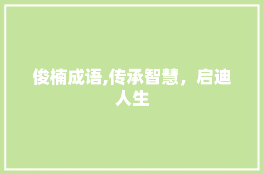 俊楠成语,传承智慧，启迪人生