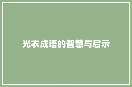 光衣成语的智慧与启示