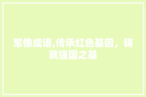 军像成语,传承红色基因，铸就强国之基