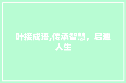 叶接成语,传承智慧，启迪人生