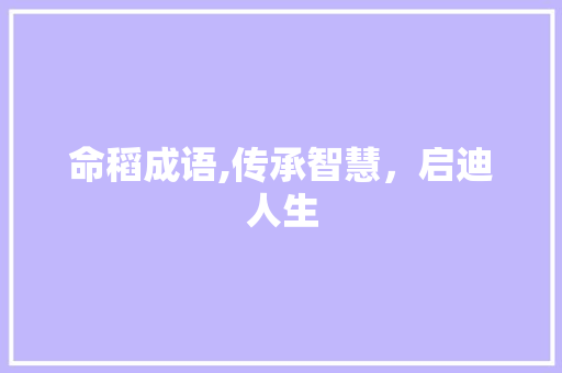 命稻成语,传承智慧，启迪人生