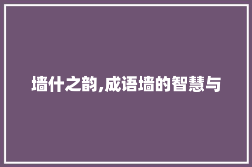 墙什之韵,成语墙的智慧与