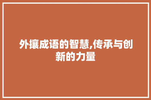 外攘成语的智慧,传承与创新的力量