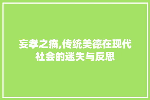 妄孝之痛,传统美德在现代社会的迷失与反思