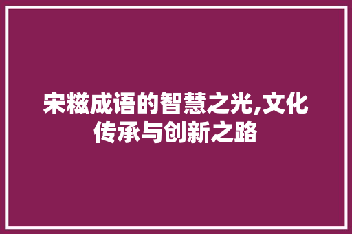 宋糍成语的智慧之光,文化传承与创新之路