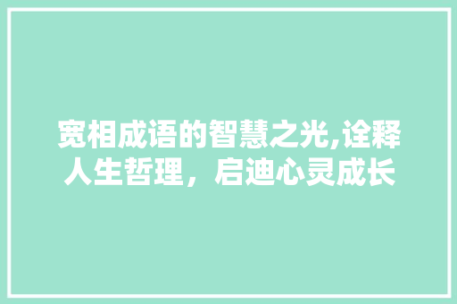 宽相成语的智慧之光,诠释人生哲理，启迪心灵成长