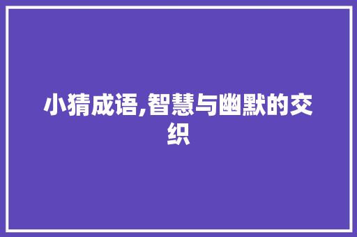 小猜成语,智慧与幽默的交织