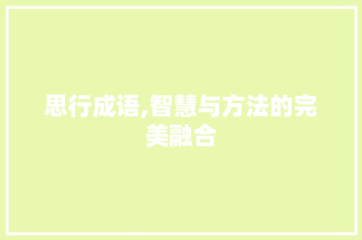 思行成语,智慧与方法的完美融合