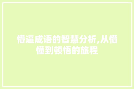 懵逼成语的智慧分析,从懵懂到顿悟的旅程