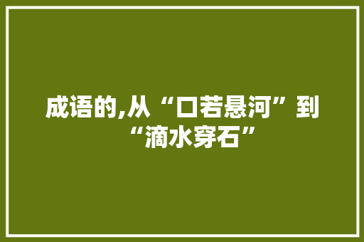 成语的,从“口若悬河”到“滴水穿石”