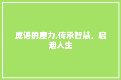 成语的魔力,传承智慧，启迪人生