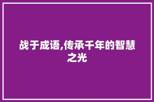 战于成语,传承千年的智慧之光