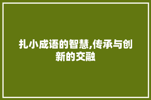 扎小成语的智慧,传承与创新的交融