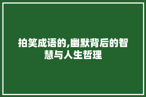 拍笑成语的,幽默背后的智慧与人生哲理