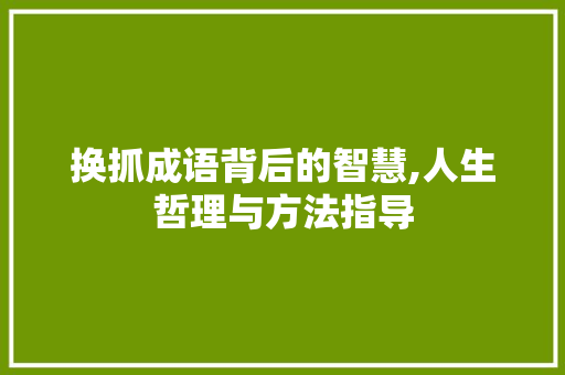 换抓成语背后的智慧,人生哲理与方法指导