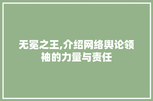 无冕之王,介绍网络舆论领袖的力量与责任