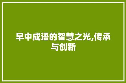 早中成语的智慧之光,传承与创新