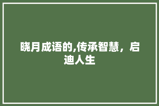 晓月成语的,传承智慧，启迪人生