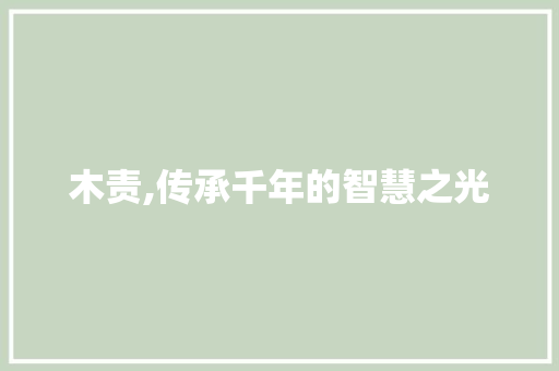 木责,传承千年的智慧之光