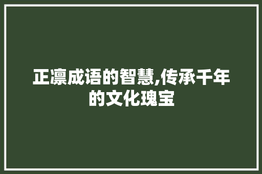 正凛成语的智慧,传承千年的文化瑰宝
