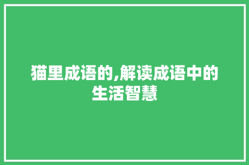 猫里成语的,解读成语中的生活智慧