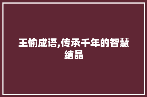 王愉成语,传承千年的智慧结晶