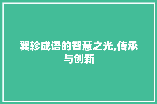 翼轸成语的智慧之光,传承与创新
