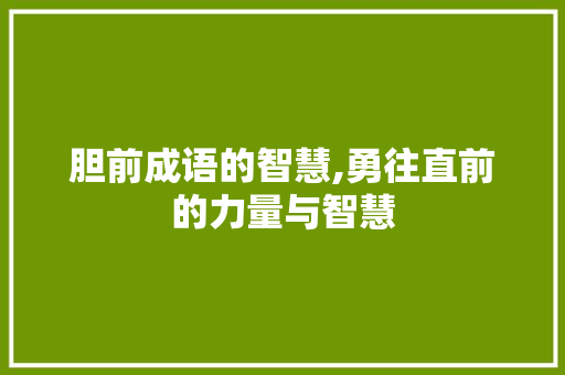 胆前成语的智慧,勇往直前的力量与智慧