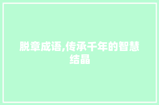 脱章成语,传承千年的智慧结晶