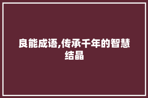 良能成语,传承千年的智慧结晶