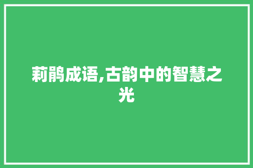莉鹃成语,古韵中的智慧之光