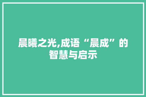 晨曦之光,成语“晨成”的智慧与启示