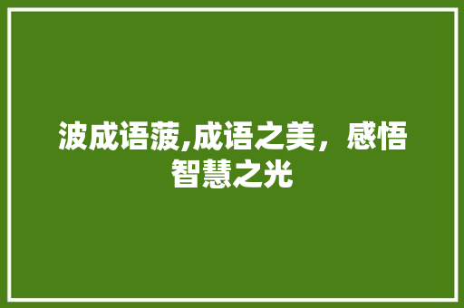 波成语菠,成语之美，感悟智慧之光