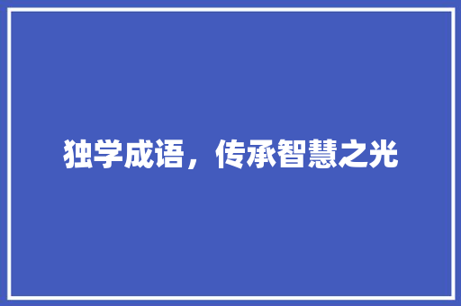 独学成语，传承智慧之光