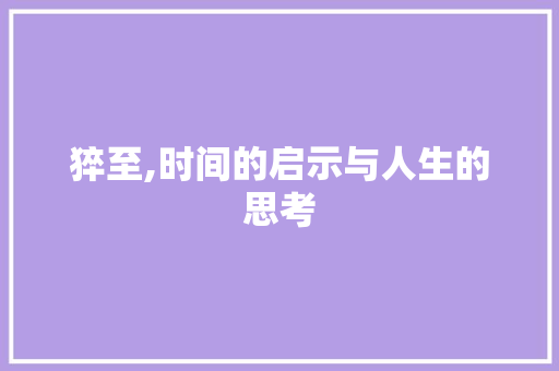 猝至,时间的启示与人生的思考