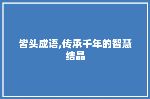 皆头成语,传承千年的智慧结晶