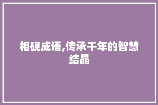 相砚成语,传承千年的智慧结晶