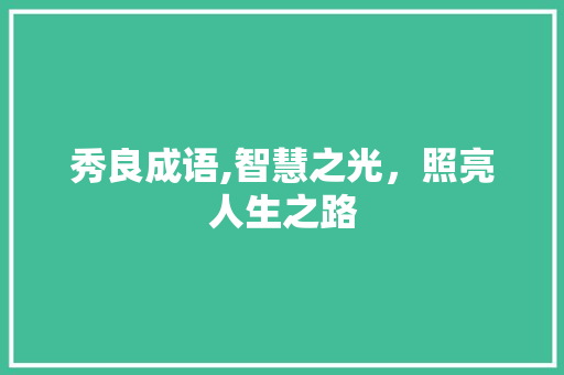 秀良成语,智慧之光，照亮人生之路 采访稿
