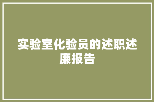 血风成语,历史长河中的英勇与坚韧 工作报告