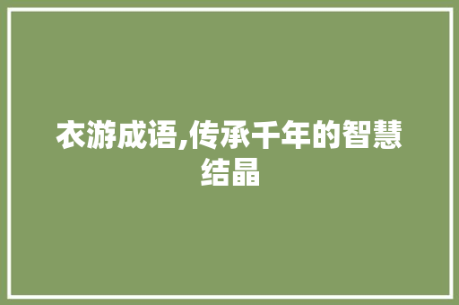 衣游成语,传承千年的智慧结晶