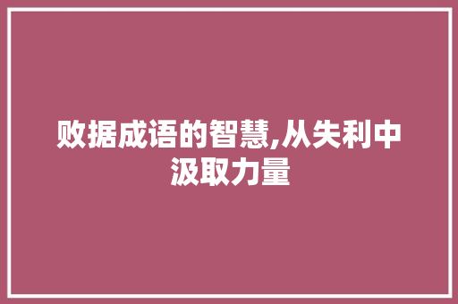 败据成语的智慧,从失利中汲取力量