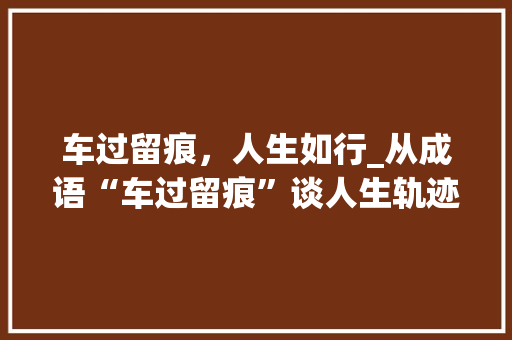 车过留痕，人生如行_从成语“车过留痕”谈人生轨迹与痕迹