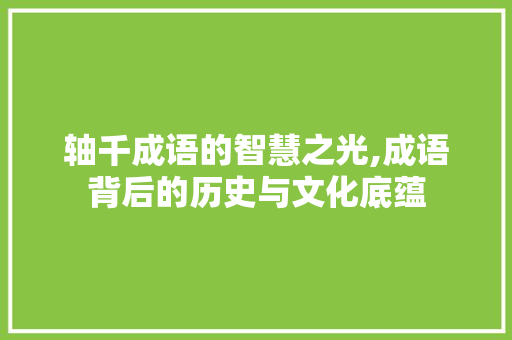 轴千成语的智慧之光,成语背后的历史与文化底蕴