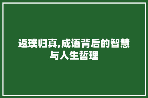 返璞归真,成语背后的智慧与人生哲理