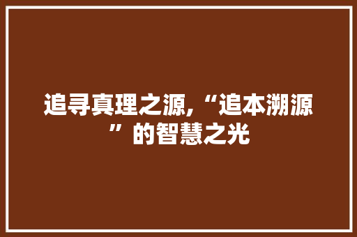 追寻真理之源,“追本溯源”的智慧之光