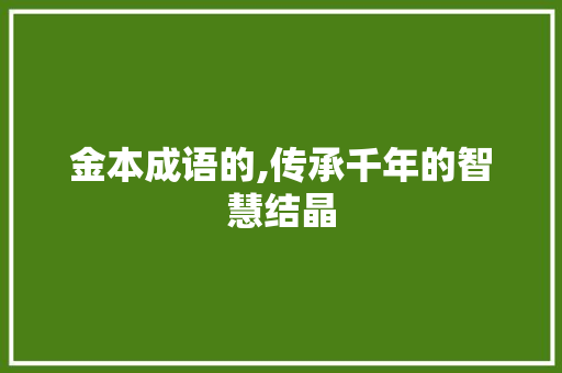 金本成语的,传承千年的智慧结晶