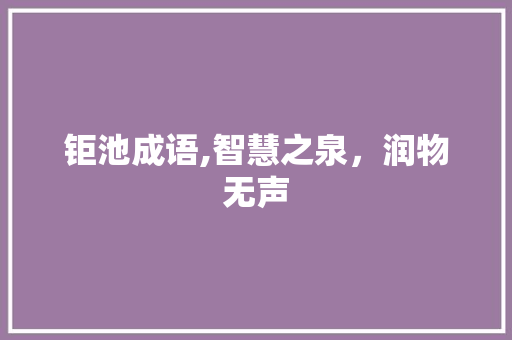 钜池成语,智慧之泉，润物无声